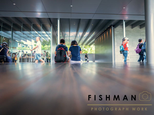 Panasonic Lumix DMC-GX85 (Lumix DMC-GX80 / Lumix DMC-GX7 Mark II) sample photo. 平等院 photo by gx85 photography