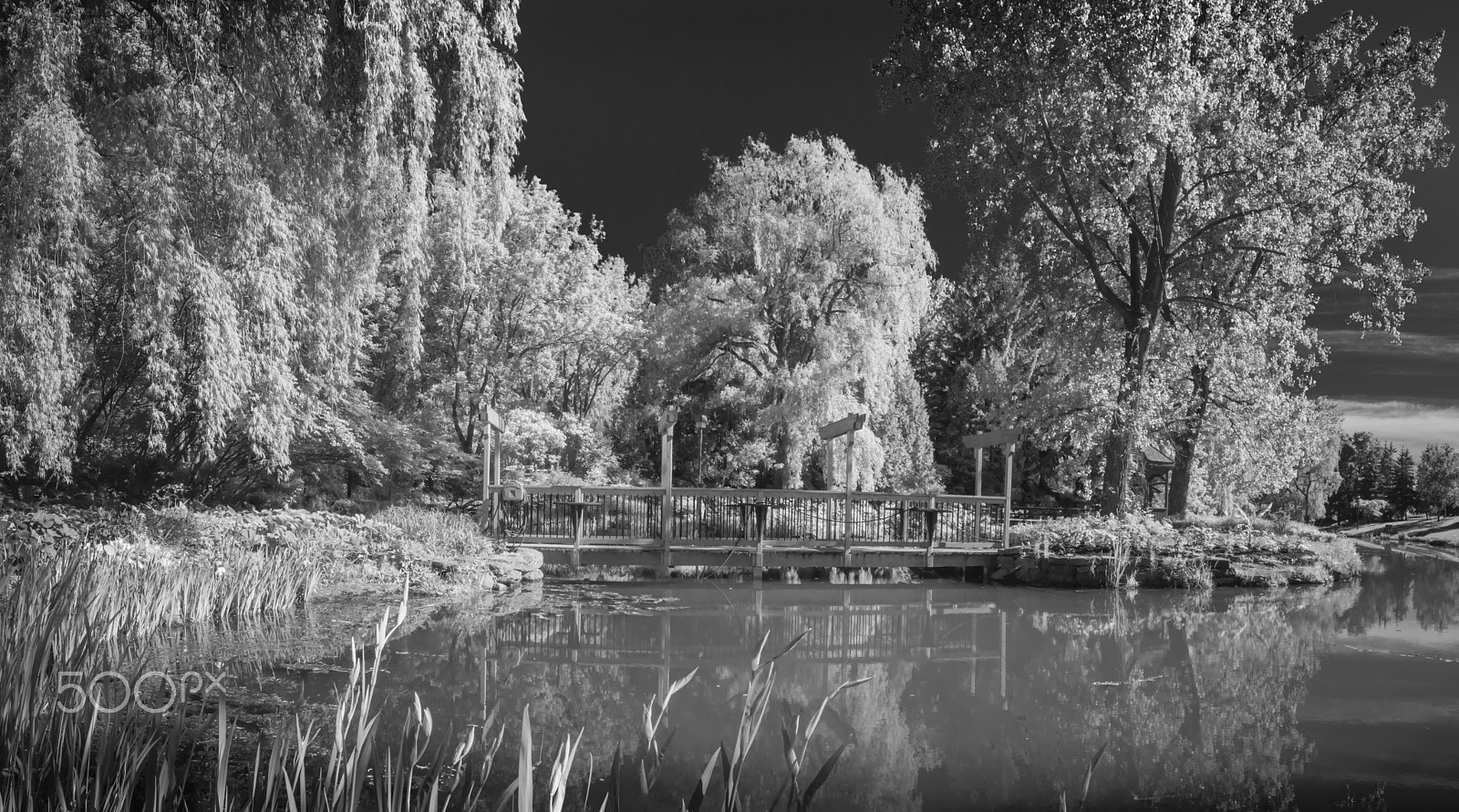 Olympus PEN E-PL5 sample photo. Panorama photography