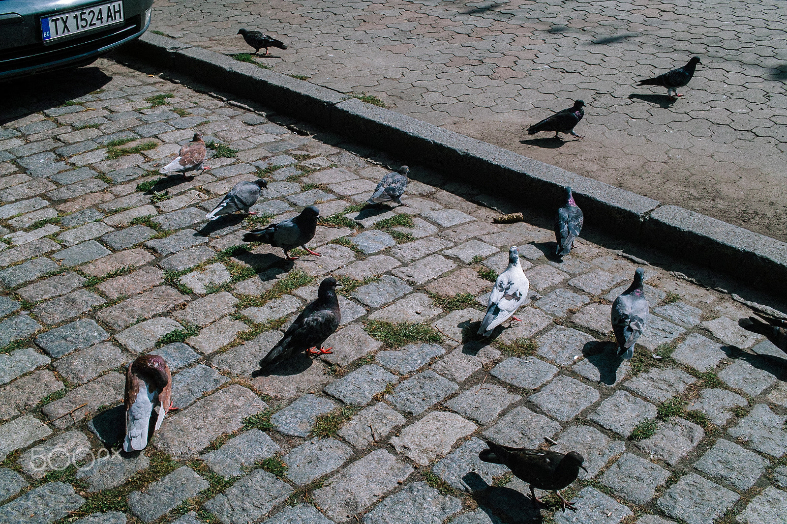 Sigma DP2 sample photo. Poltava photography