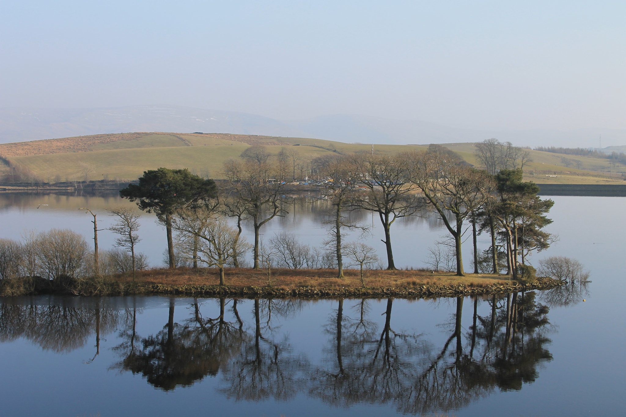 Canon EF 28-135mm F3.5-5.6 IS USM sample photo. Trees reflected in reservoir photography