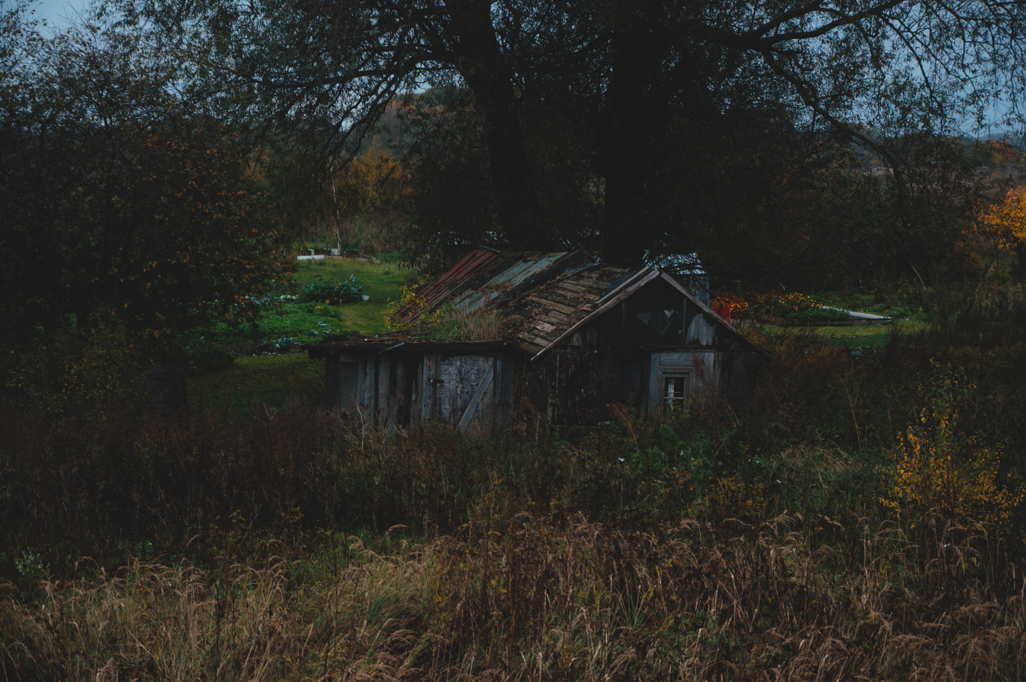 Sigma 17-70mm F2.8-4 DC Macro OS HSM sample photo. A lone shack photography