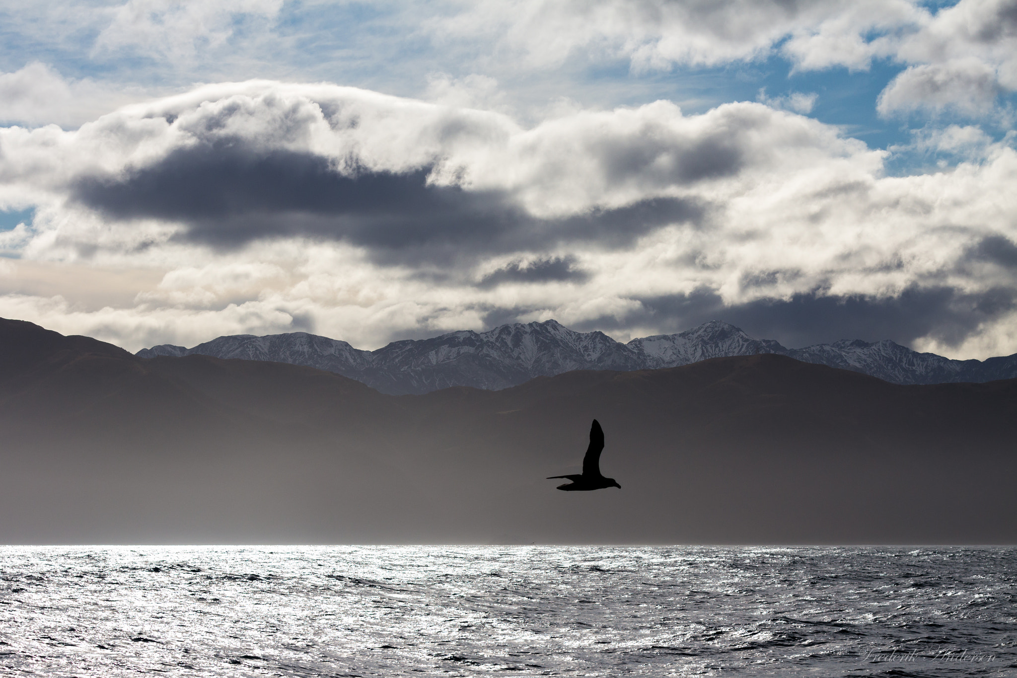 Canon EOS M + Sigma 70-200mm F2.8 EX DG OS HSM sample photo. Kaikoura, nz from the sea photography