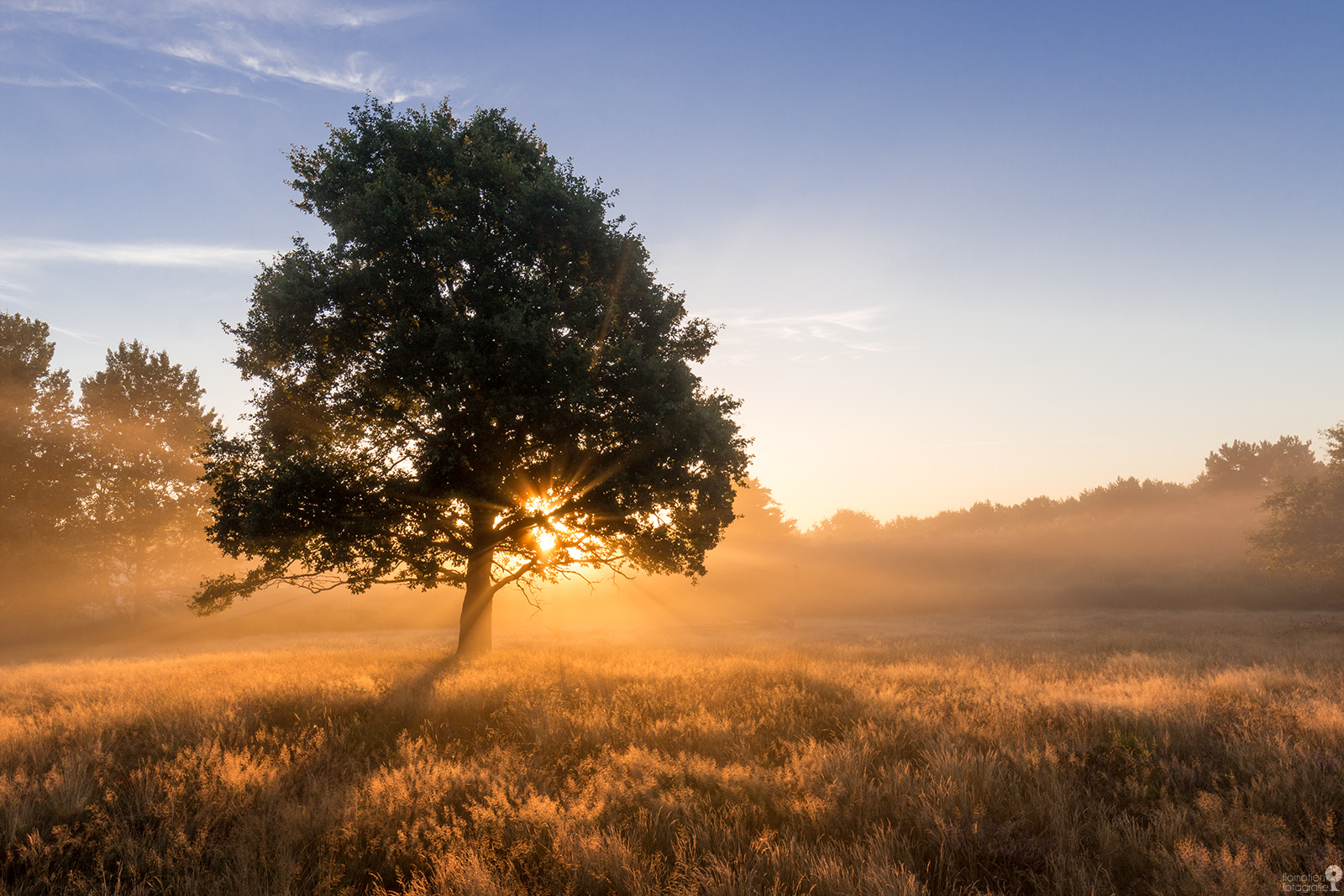 Canon EOS 70D + Canon EF 16-35mm F4L IS USM sample photo. Golden beams photography