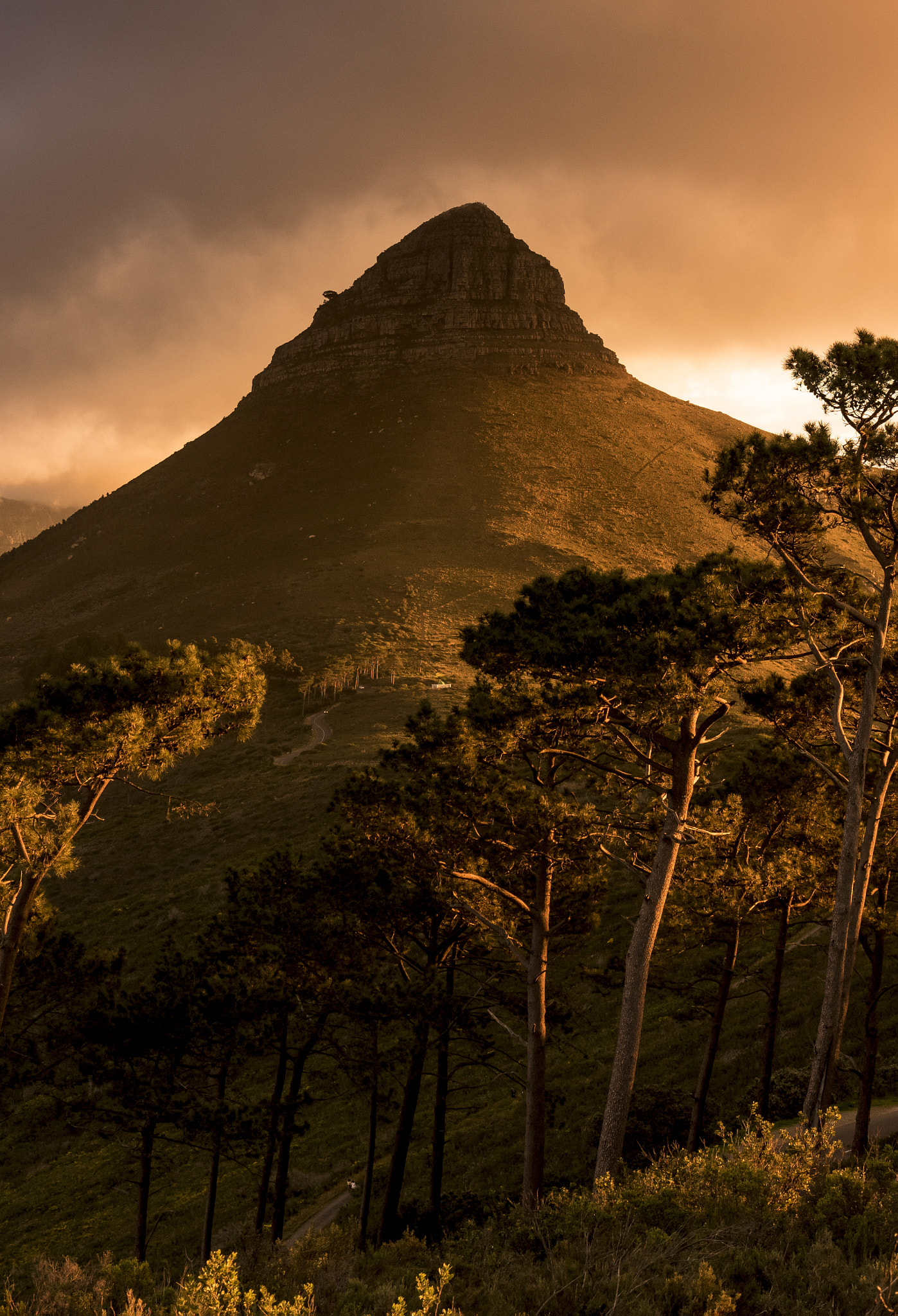 Pentax K-3 sample photo. Lionshead photography