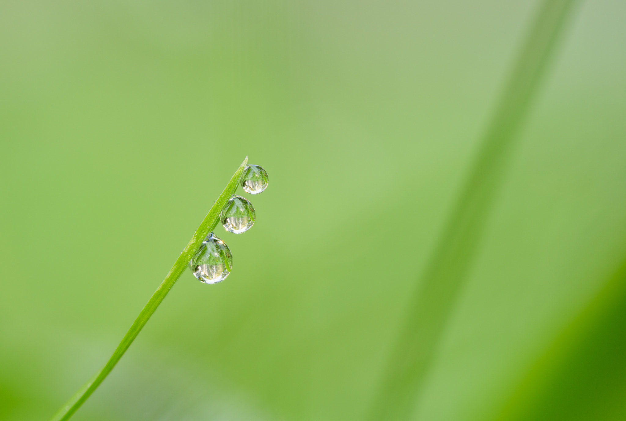 Tamron 18-270mm F3.5-6.3 Di II PZD sample photo. Drei tropfen photography