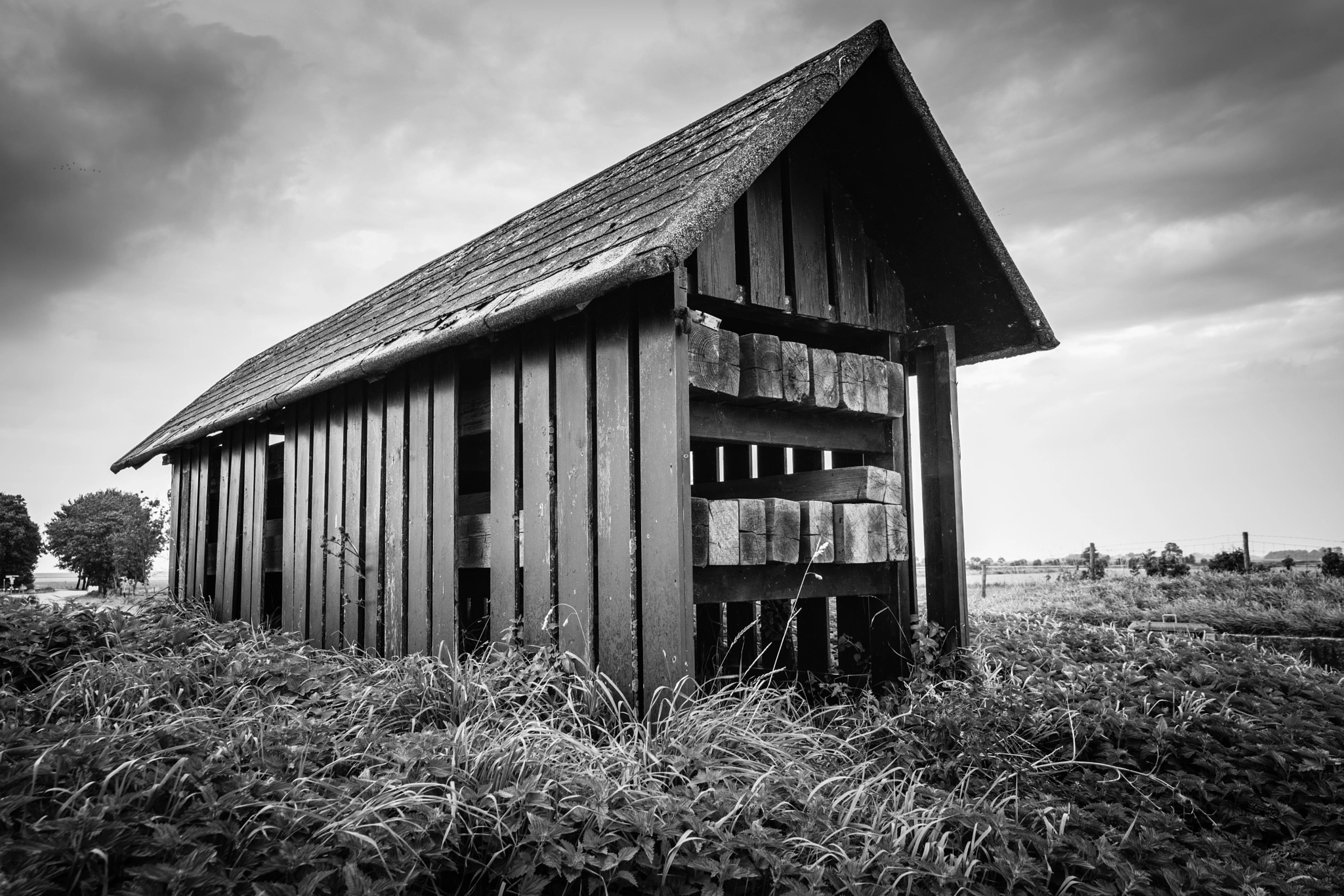 Tokina AT-X 16-28mm F2.8 Pro FX sample photo. Dike coupure photography