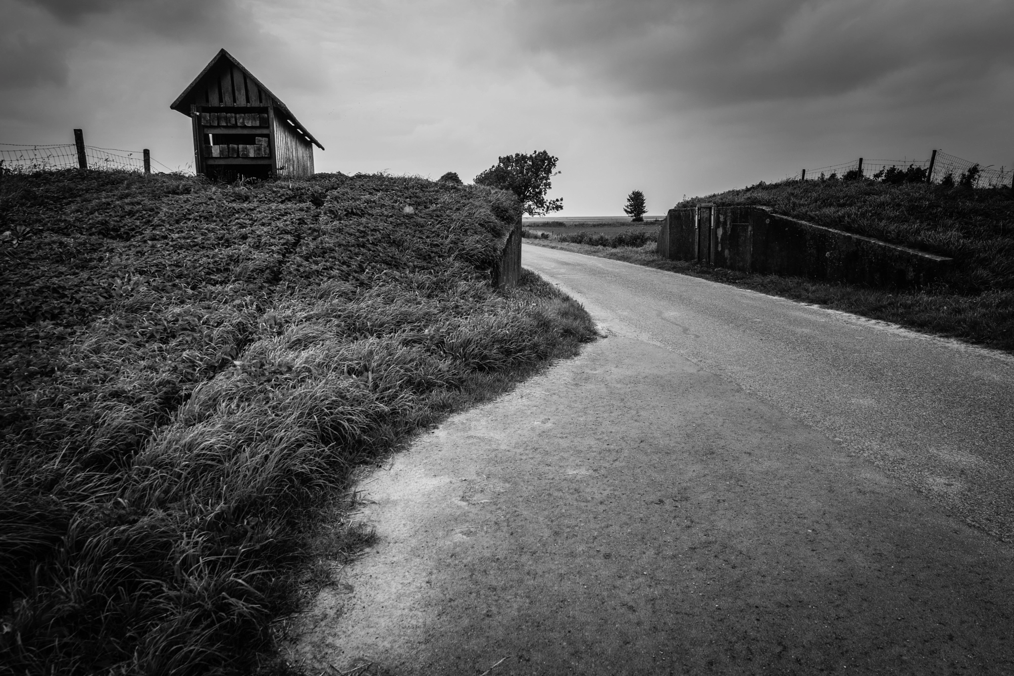 Tokina AT-X 16-28mm F2.8 Pro FX sample photo. Dike coupure photography