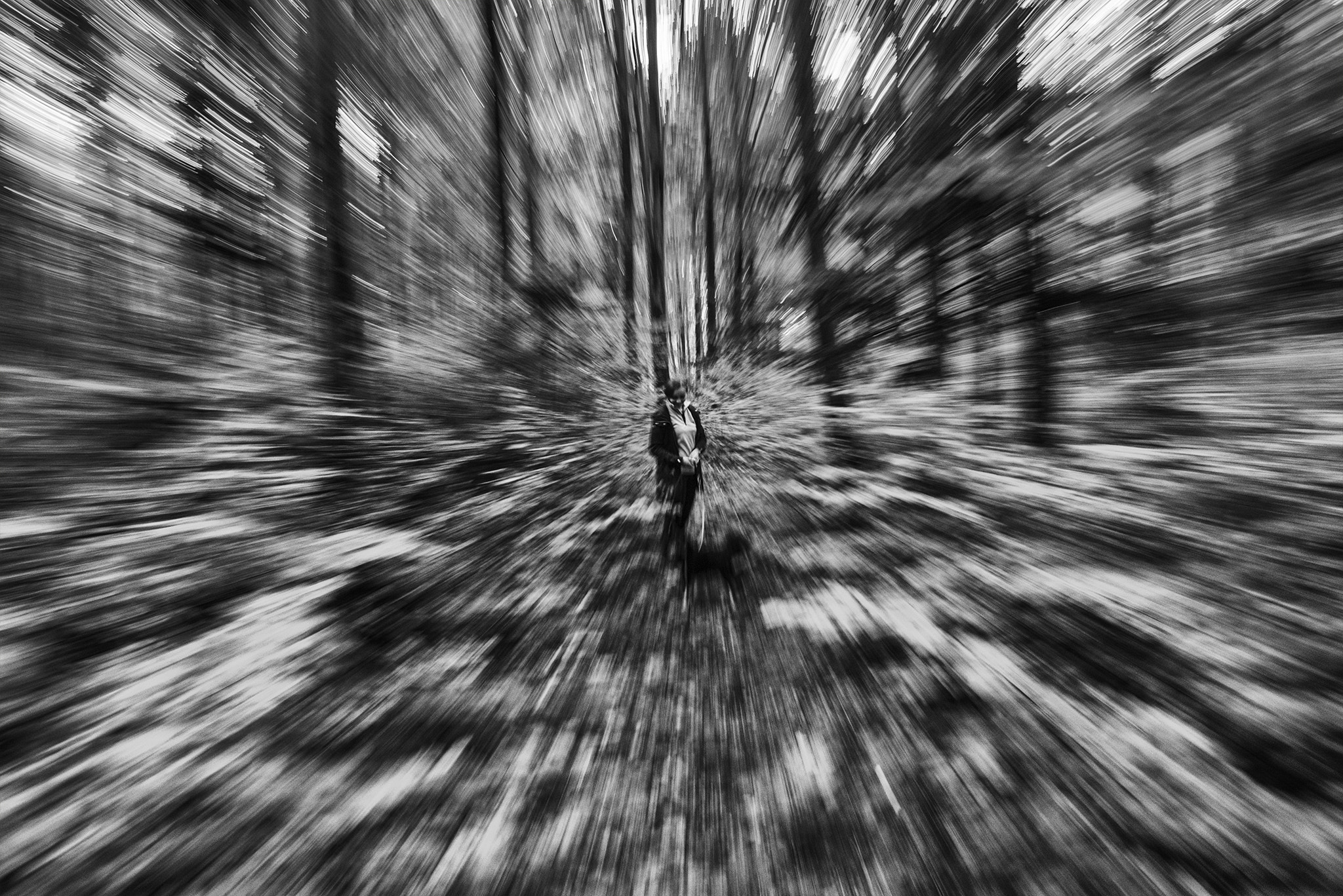 Nikon D600 sample photo. Forest photography