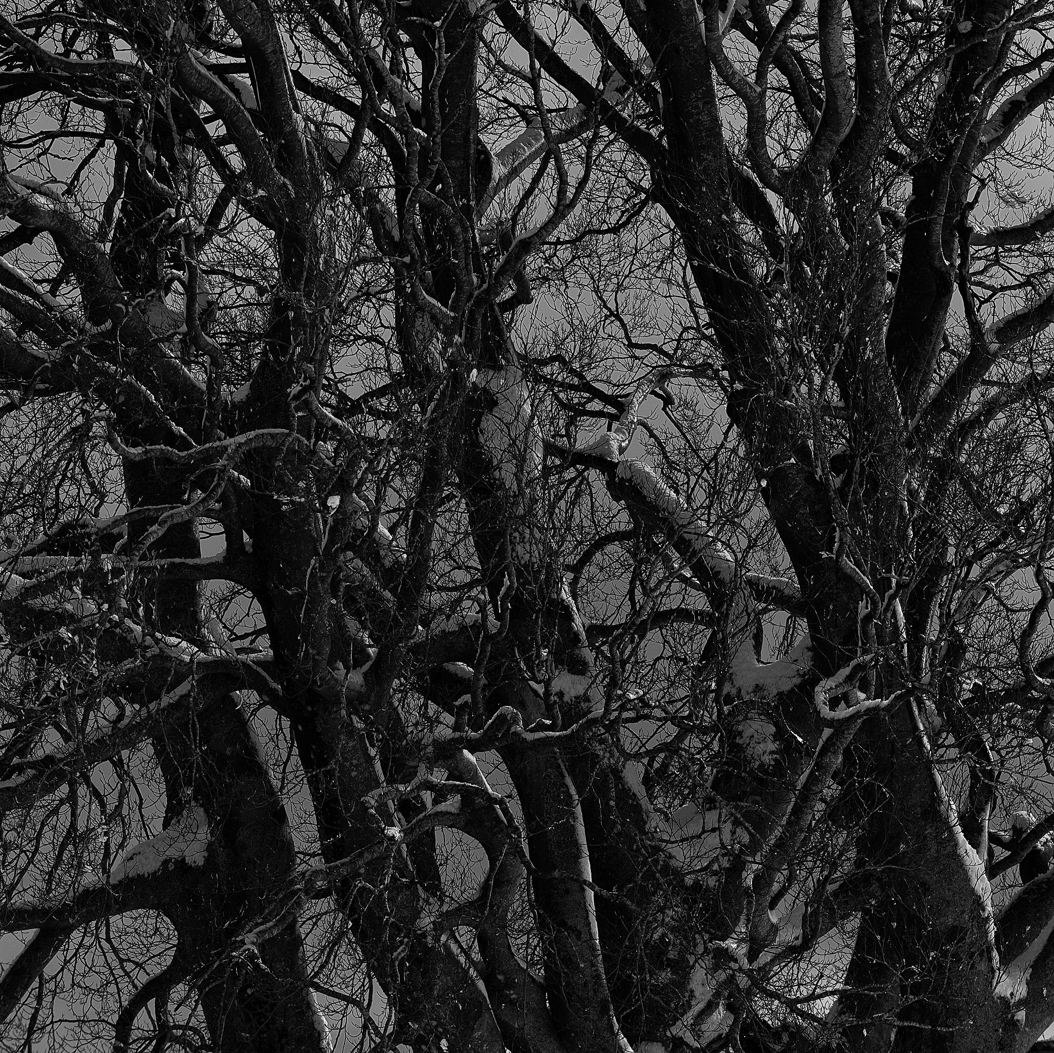 AF-S Zoom-Nikkor 80-200mm f/2.8D IF-ED sample photo. Corniche des cevennes photography