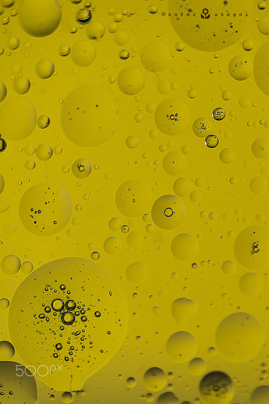 Sigma 150mm F2.8 EX DG Macro HSM sample photo. Olive oil drops photography