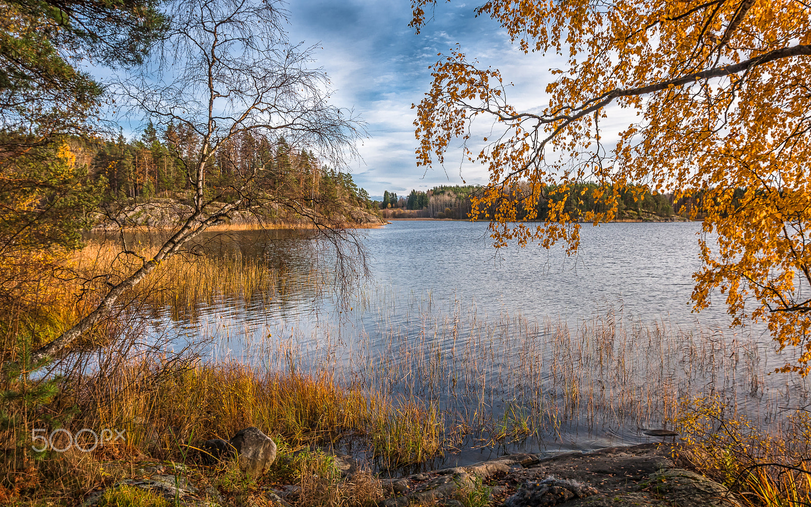 Canon EF 16-35mm F2.8L II USM sample photo. The window in autumn photography