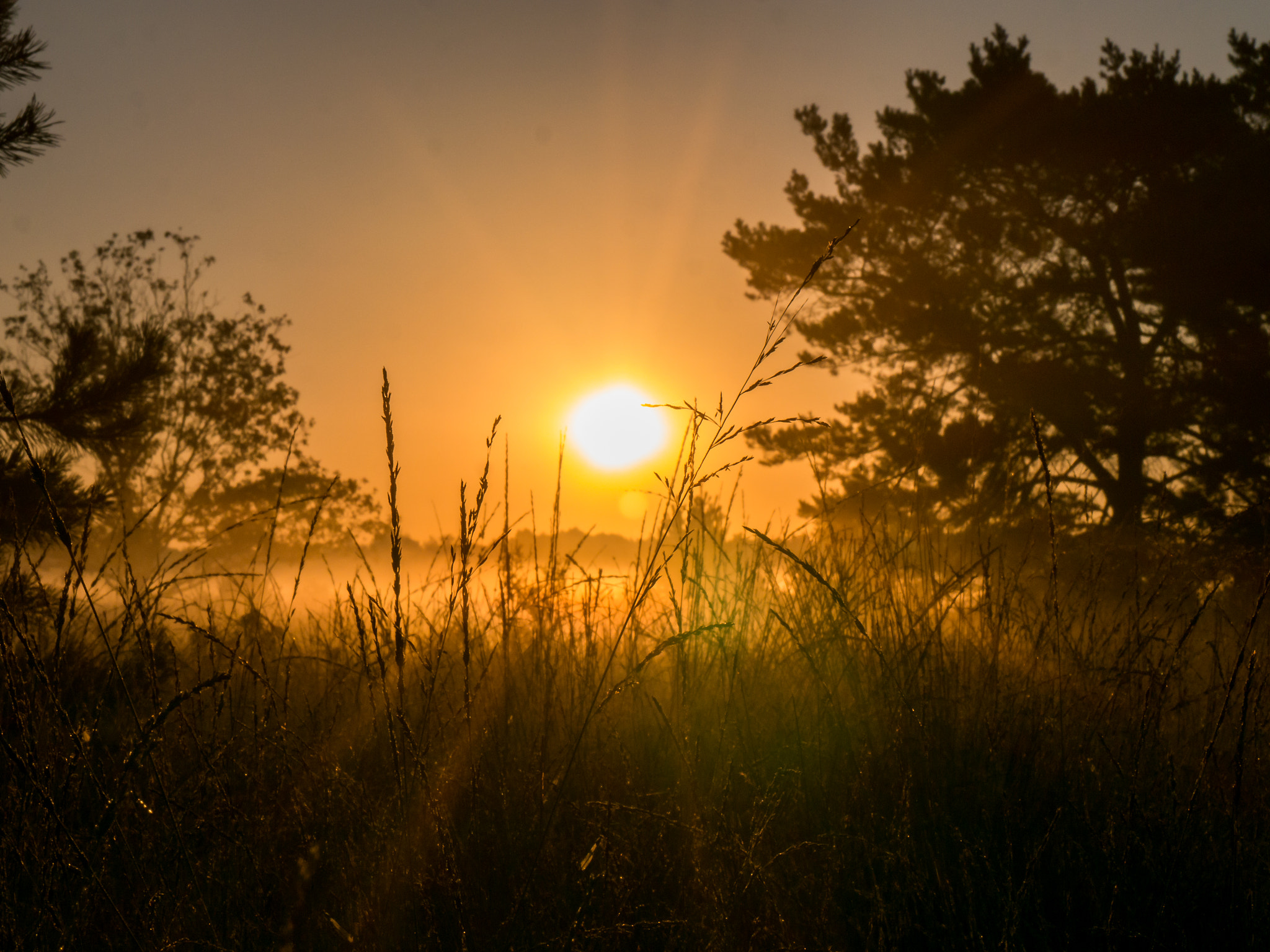 Panasonic Lumix DMC-G5 sample photo. Sunrise photography
