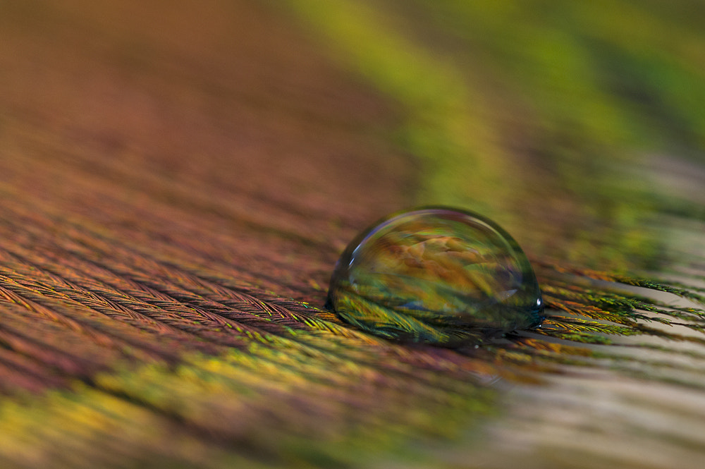 Sigma 150mm F2.8 EX DG OS Macro HSM sample photo. Drop photography