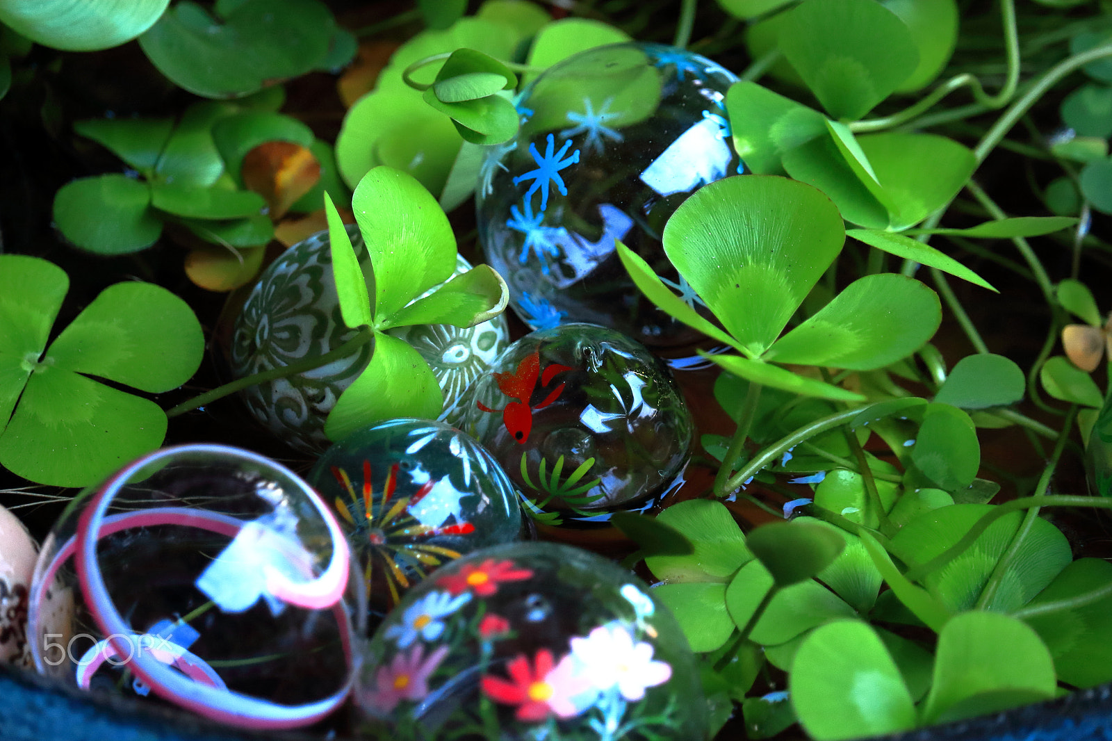 Canon EOS 100D (EOS Rebel SL1 / EOS Kiss X7) sample photo. Lucky clover photography