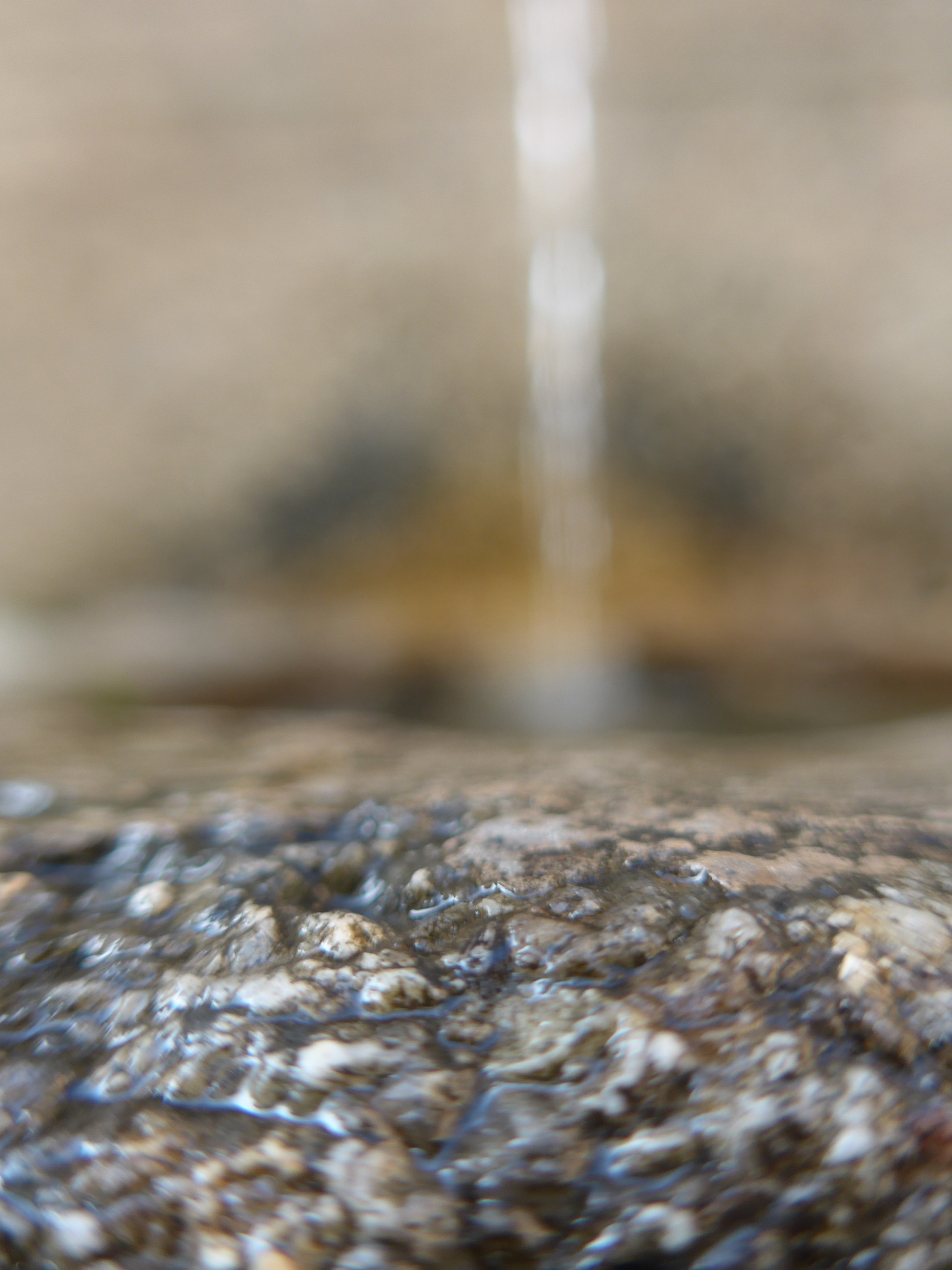Leica C (Typ 112) sample photo. Fountain photography