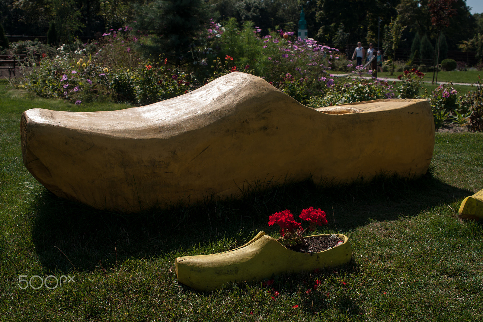 Sony Alpha DSLR-A700 + 24-70mm F2.8 sample photo. Shoe photography