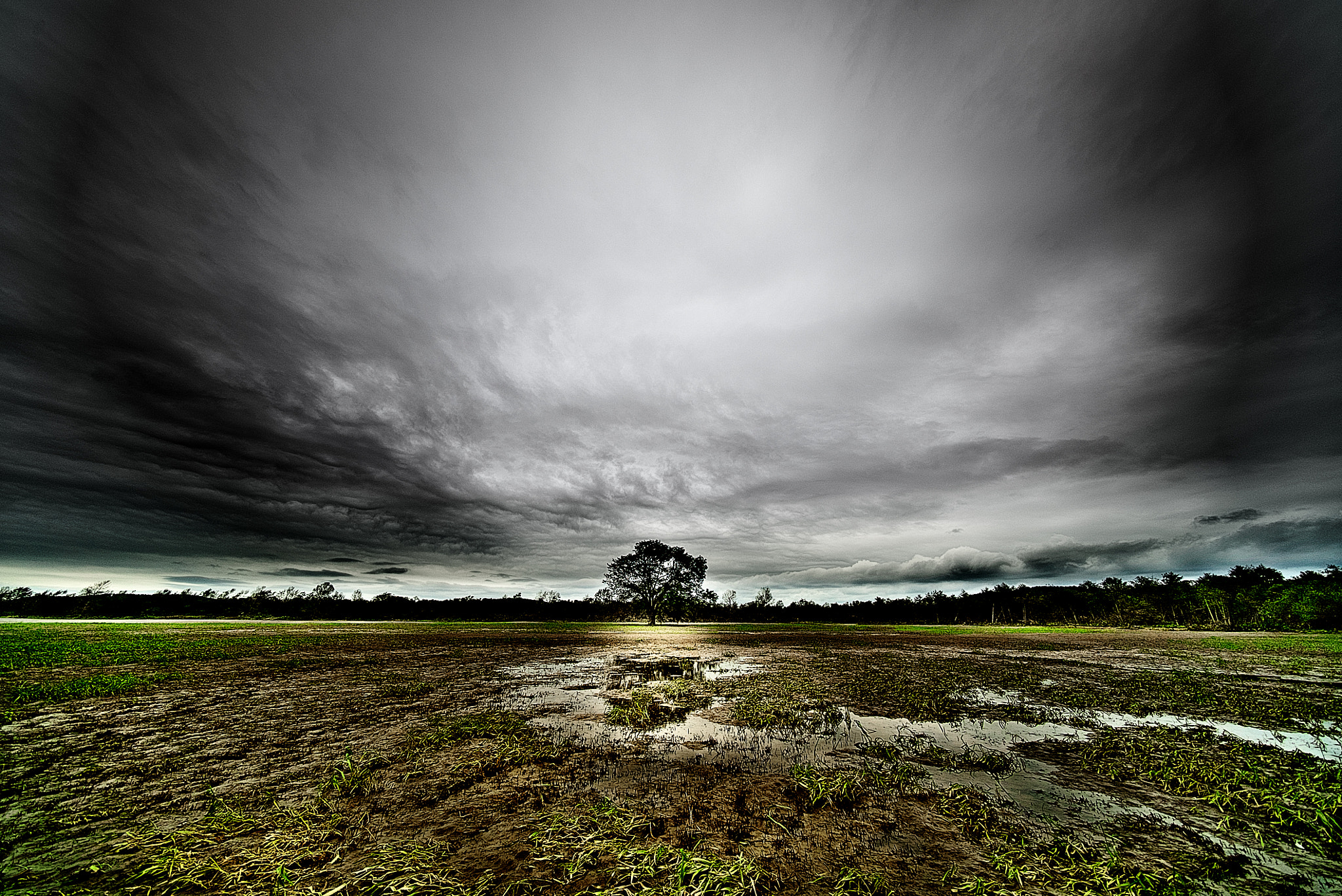 E 10mm F5.6 sample photo. Of thy sorrow be not too sad photography