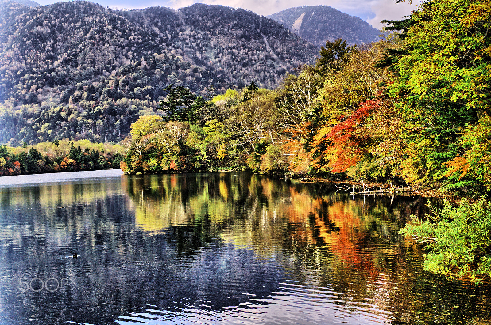Pentax K-7 sample photo. Fall in chuzen-ji lake, okunikko photography
