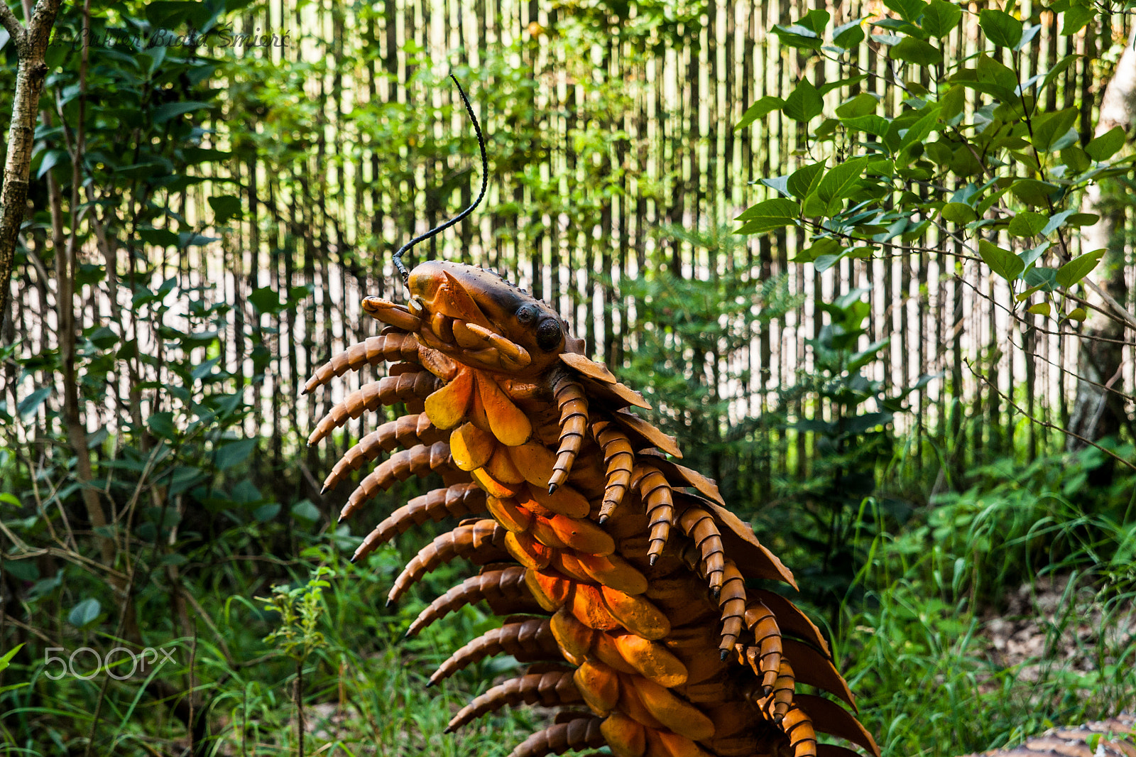 Sony Alpha DSLR-A700 + 24-70mm F2.8 sample photo. Dinosaur photography