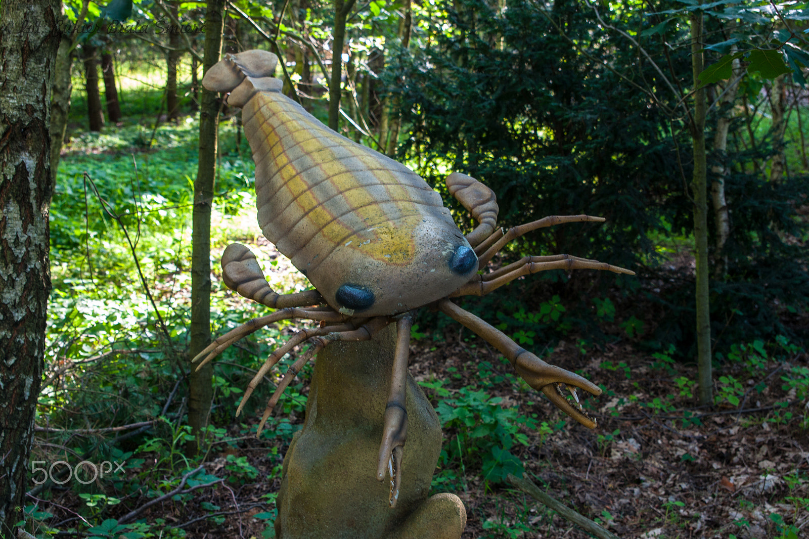 Sony Alpha DSLR-A700 + 24-70mm F2.8 sample photo. Dinosaur photography