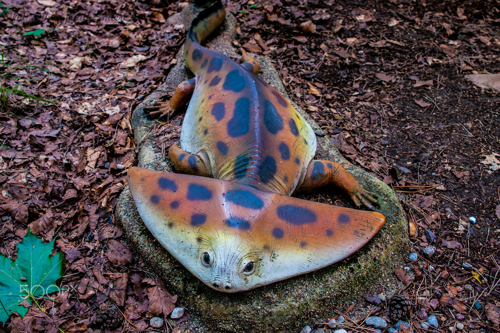 Sony Alpha DSLR-A700 + 24-70mm F2.8 sample photo. Dinosaur photography