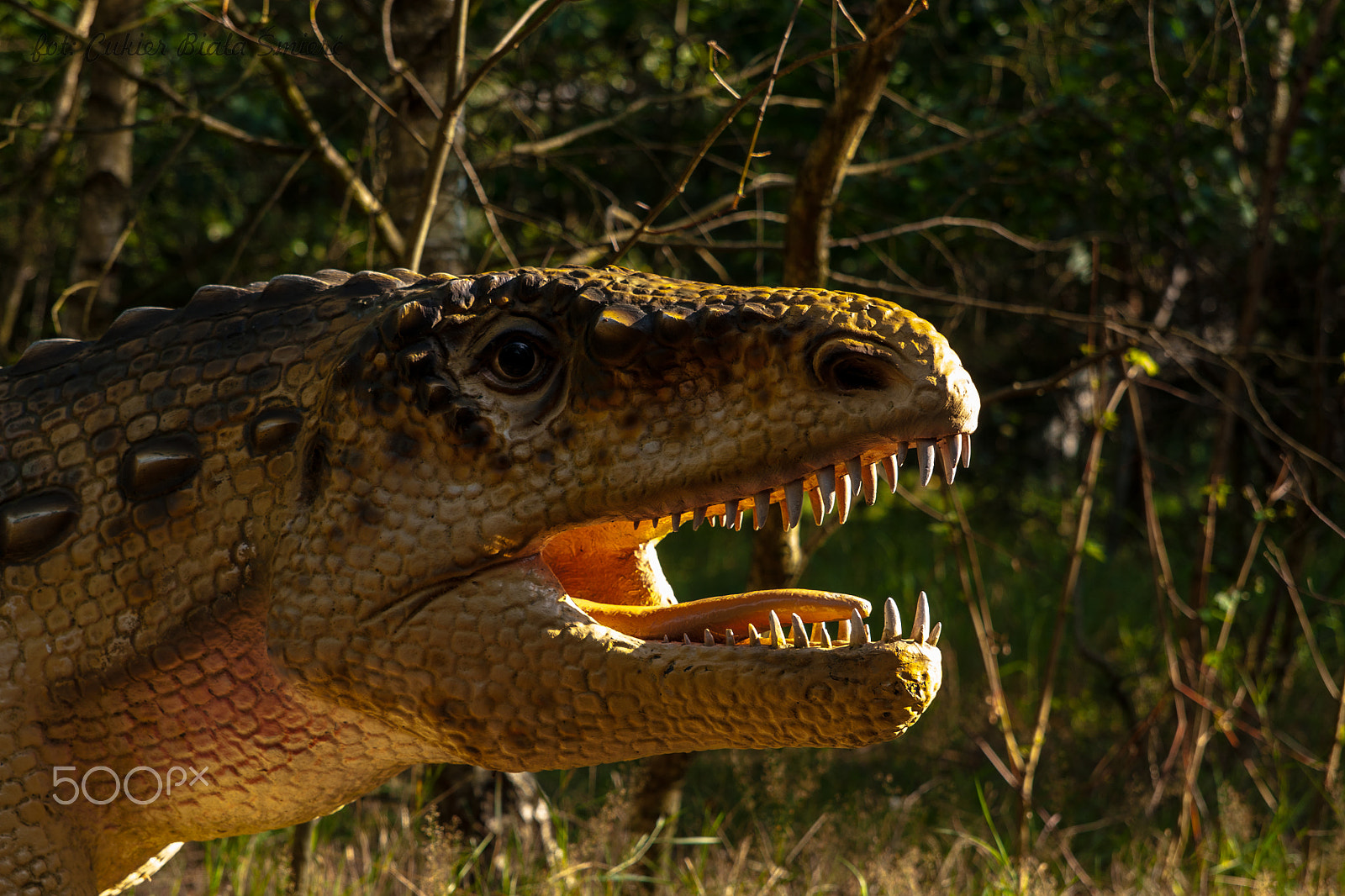 Sony Alpha DSLR-A700 + 24-70mm F2.8 sample photo. Dinosaur photography
