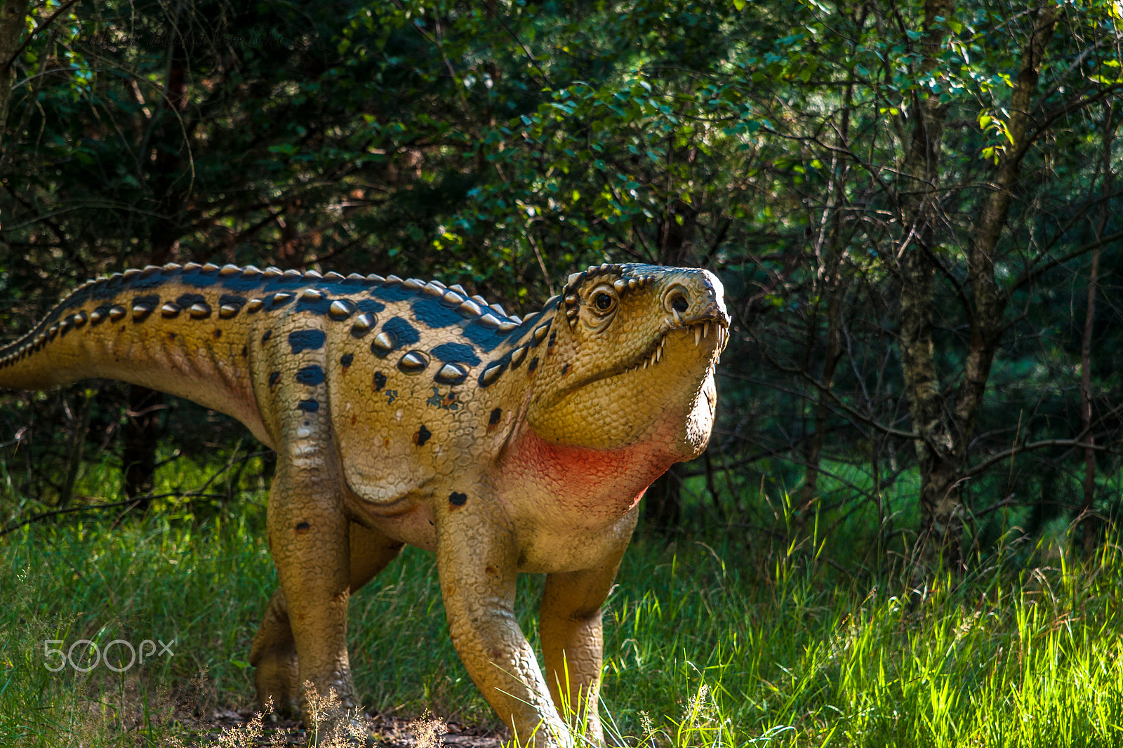 Sony Alpha DSLR-A700 + 24-70mm F2.8 sample photo. Dinosaur photography