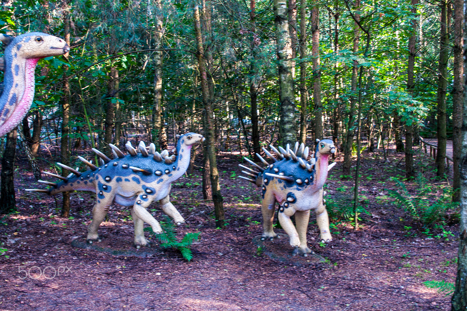 Sony Alpha DSLR-A700 + 24-70mm F2.8 sample photo. Dinosaur photography