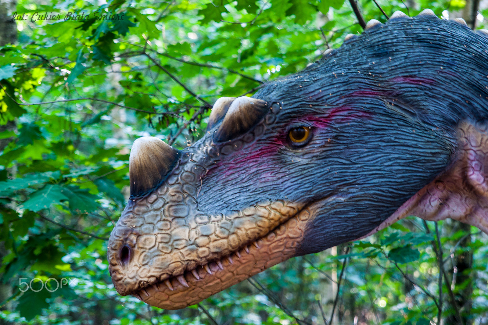 Sony Alpha DSLR-A700 + 24-70mm F2.8 sample photo. Dinosaur photography
