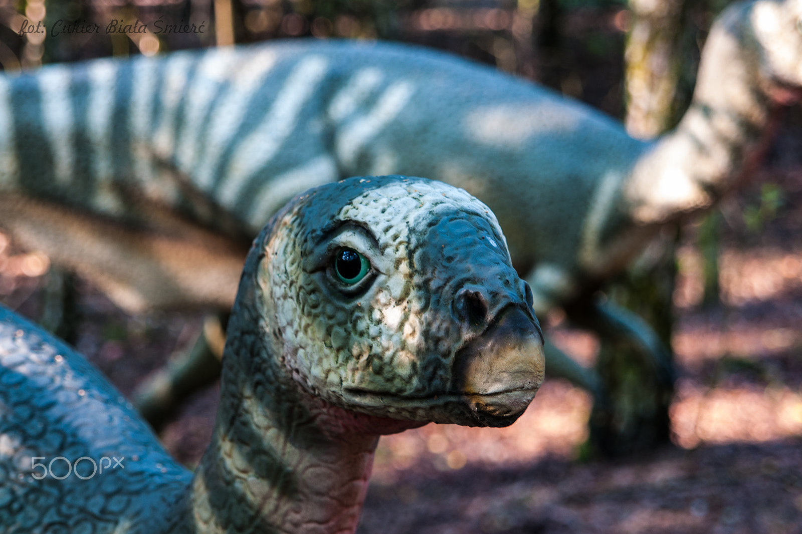 Sony Alpha DSLR-A700 + 24-70mm F2.8 sample photo. Dinosaur photography