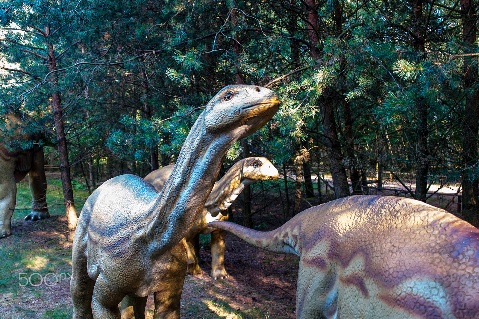 Sony Alpha DSLR-A700 sample photo. Dinosaur photography