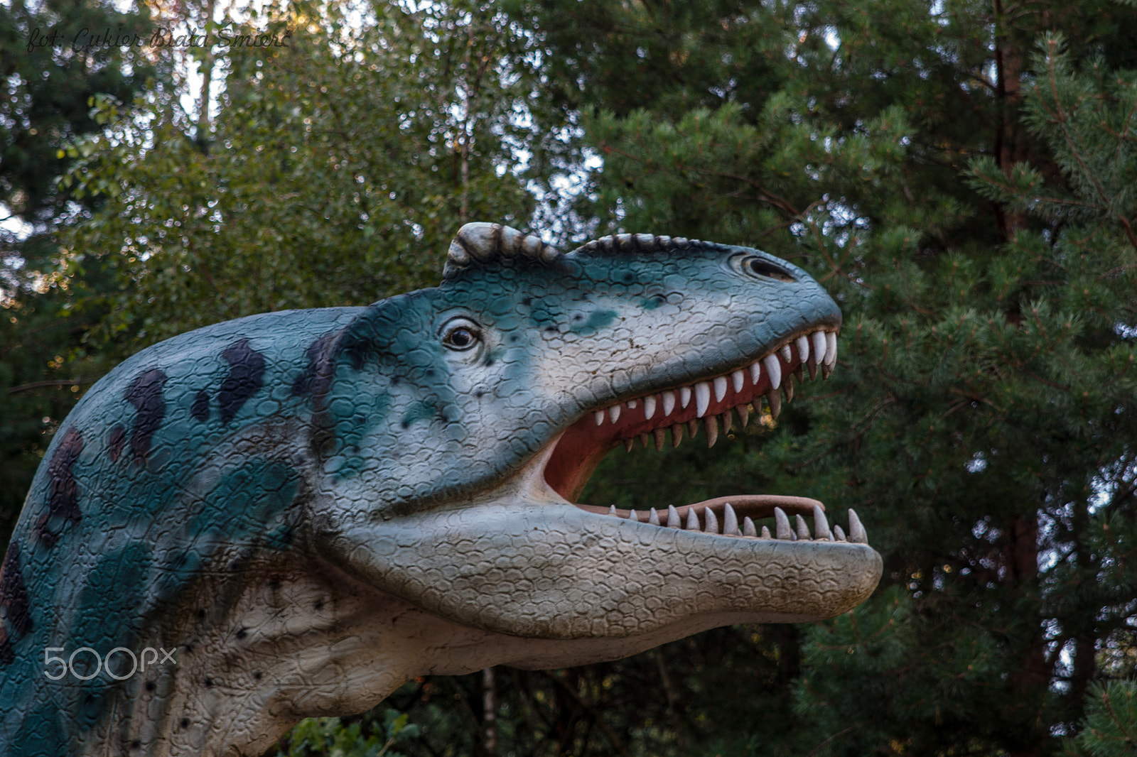 Sony Alpha DSLR-A700 + 24-70mm F2.8 sample photo. Dinosaur photography