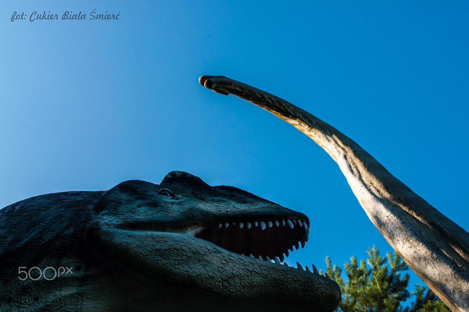 Sony Alpha DSLR-A700 + 24-70mm F2.8 sample photo. Dinosaur photography