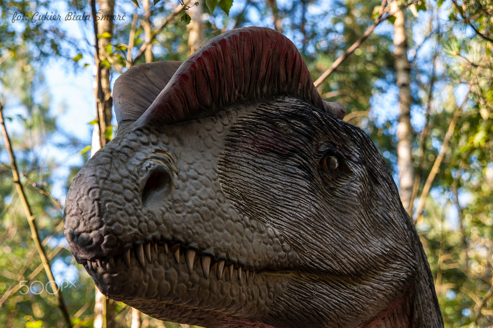Sony Alpha DSLR-A700 + 24-70mm F2.8 sample photo. Dinosaur photography
