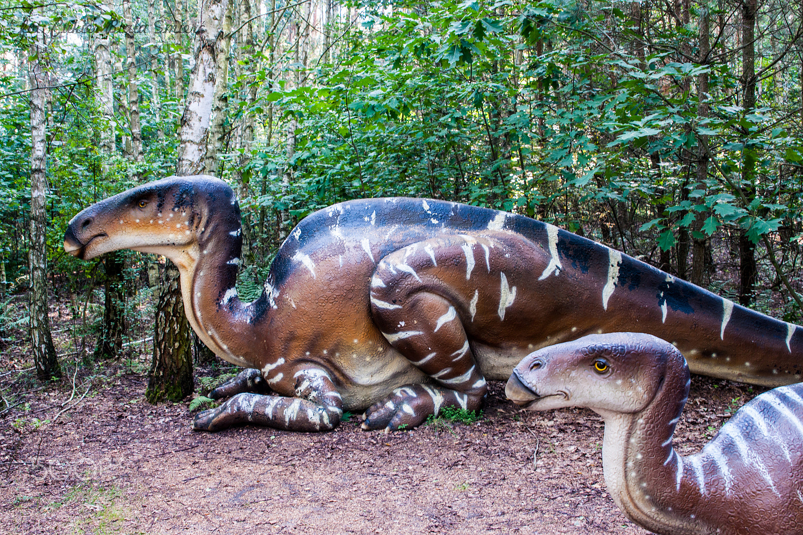 Sony Alpha DSLR-A700 + 24-70mm F2.8 sample photo. Dinosaur photography
