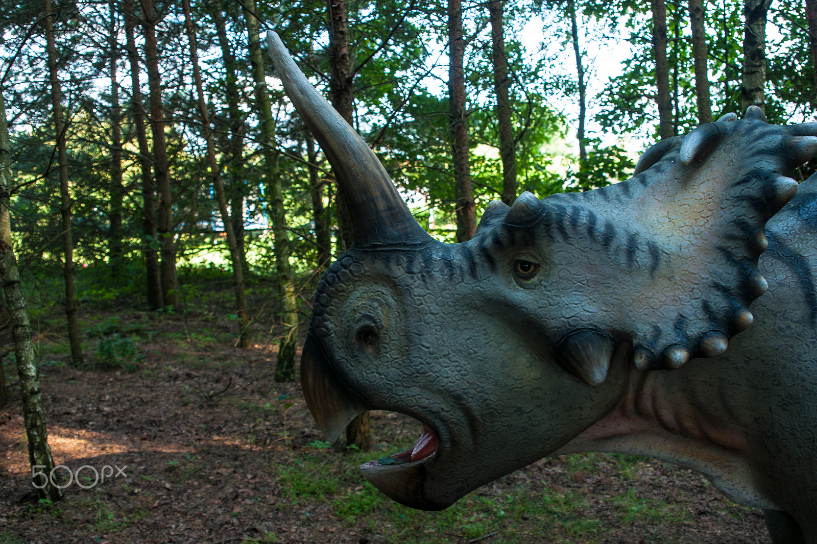 Sony Alpha DSLR-A700 + 24-70mm F2.8 sample photo. Dinosaur photography