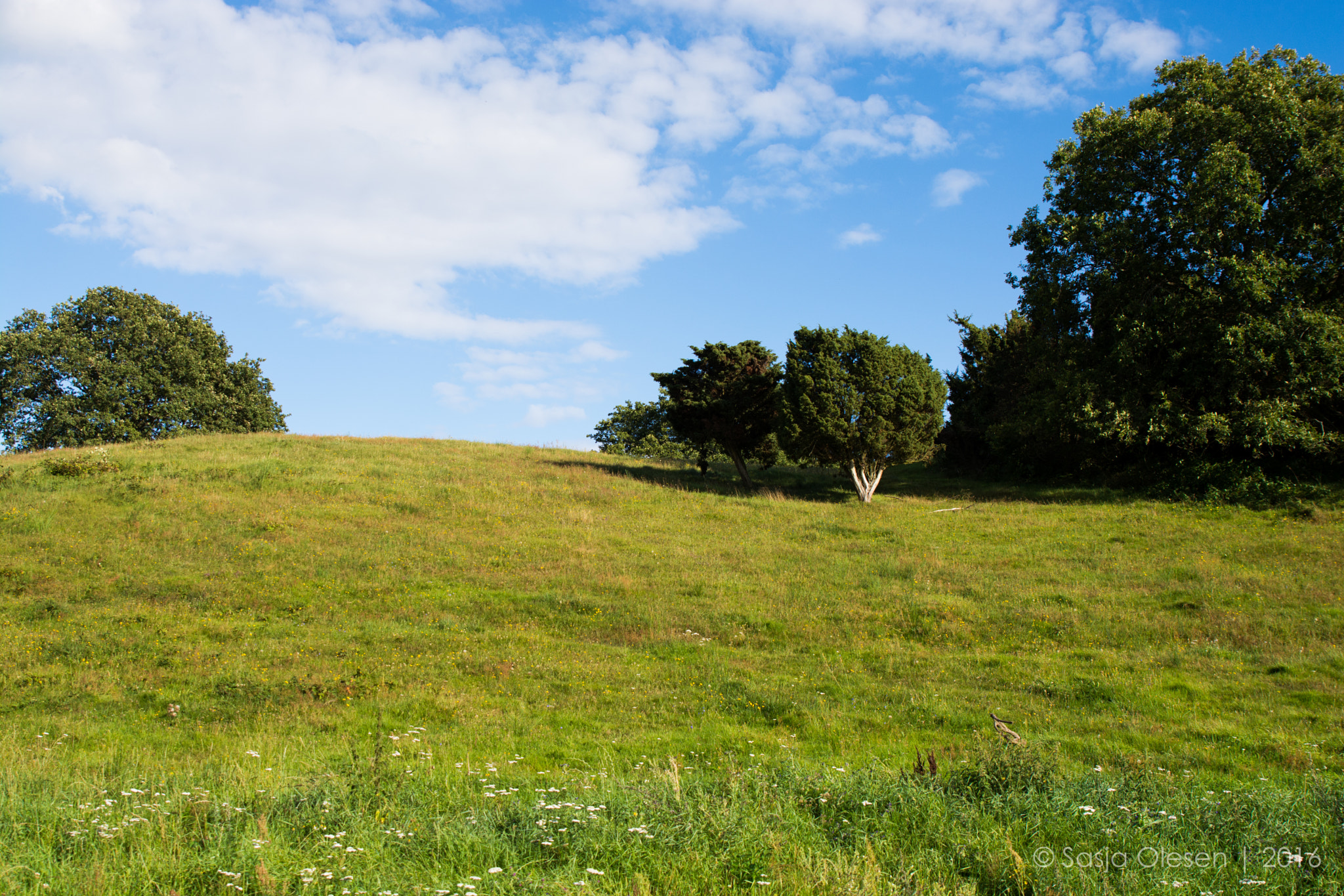Tamron SP 24-70mm F2.8 Di VC USD sample photo. Mols, denmark photography