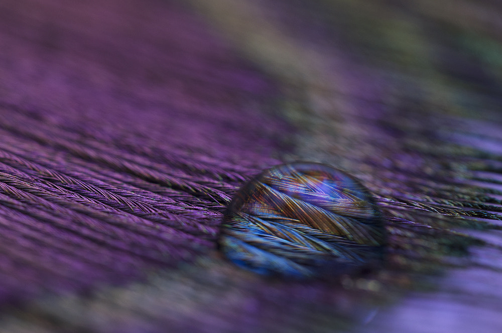 Sigma 150mm F2.8 EX DG OS Macro HSM sample photo. Drop photography