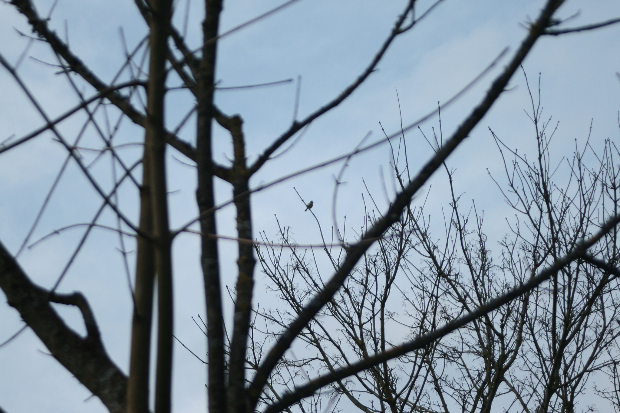 Canon EF 28-80mm f/3.5-5.6 USM IV sample photo