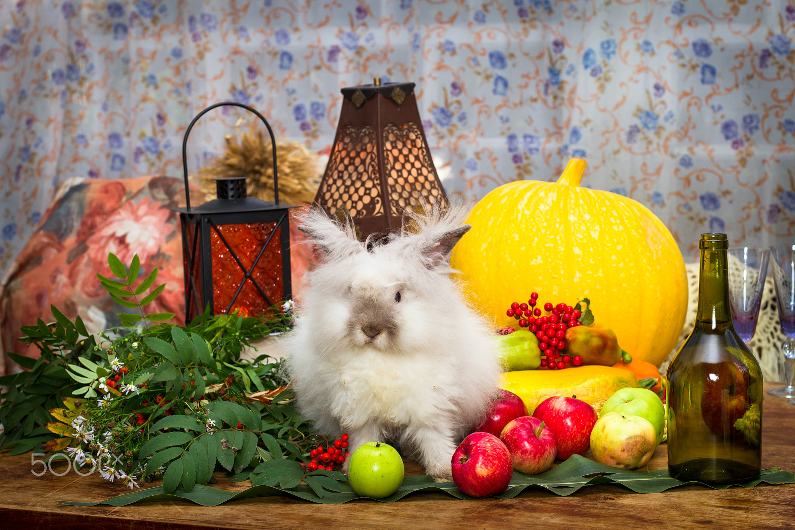 Canon EOS-1D Mark IV sample photo. Still to day of thanksgiving with autumn vegetables, fruit, pump photography