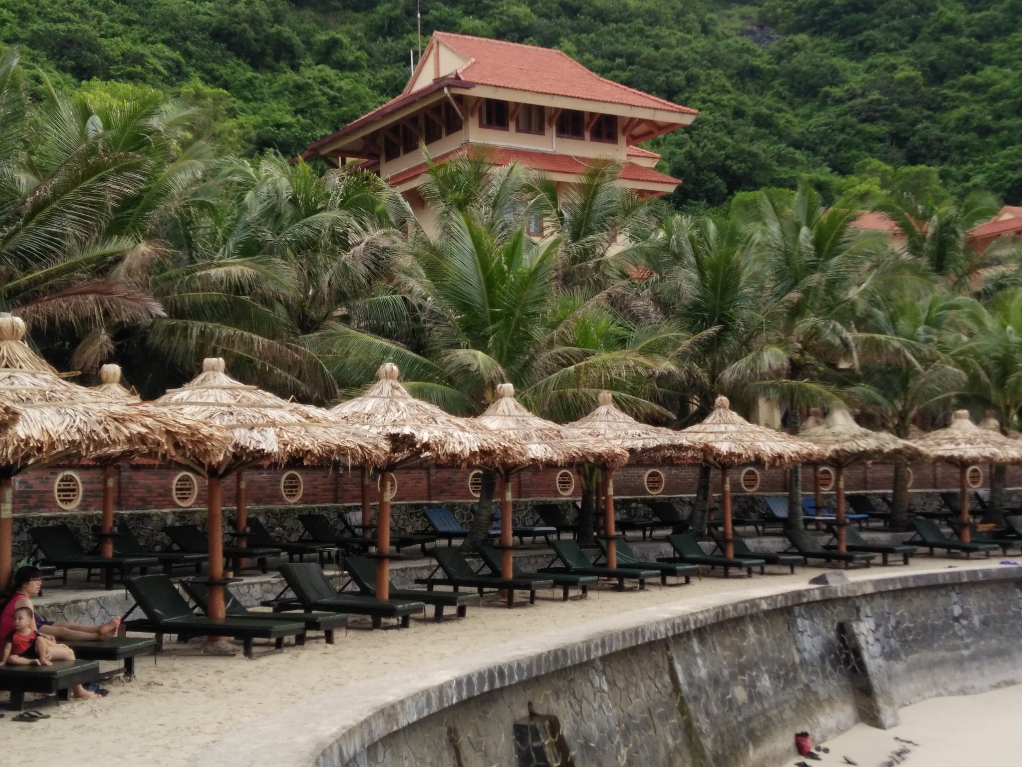 OPPO R7 Lite sample photo. Cat co 3 beach photography