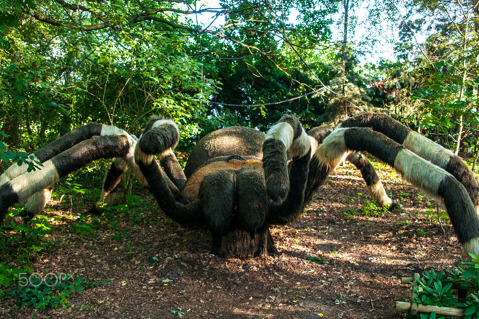 Sony Alpha DSLR-A700 + 24-70mm F2.8 sample photo. Dinosaur photography