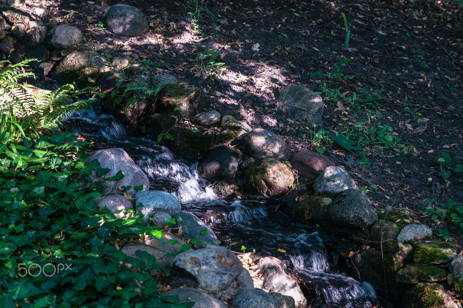 Sony Alpha DSLR-A700 + 24-70mm F2.8 sample photo. Dinosaur photography