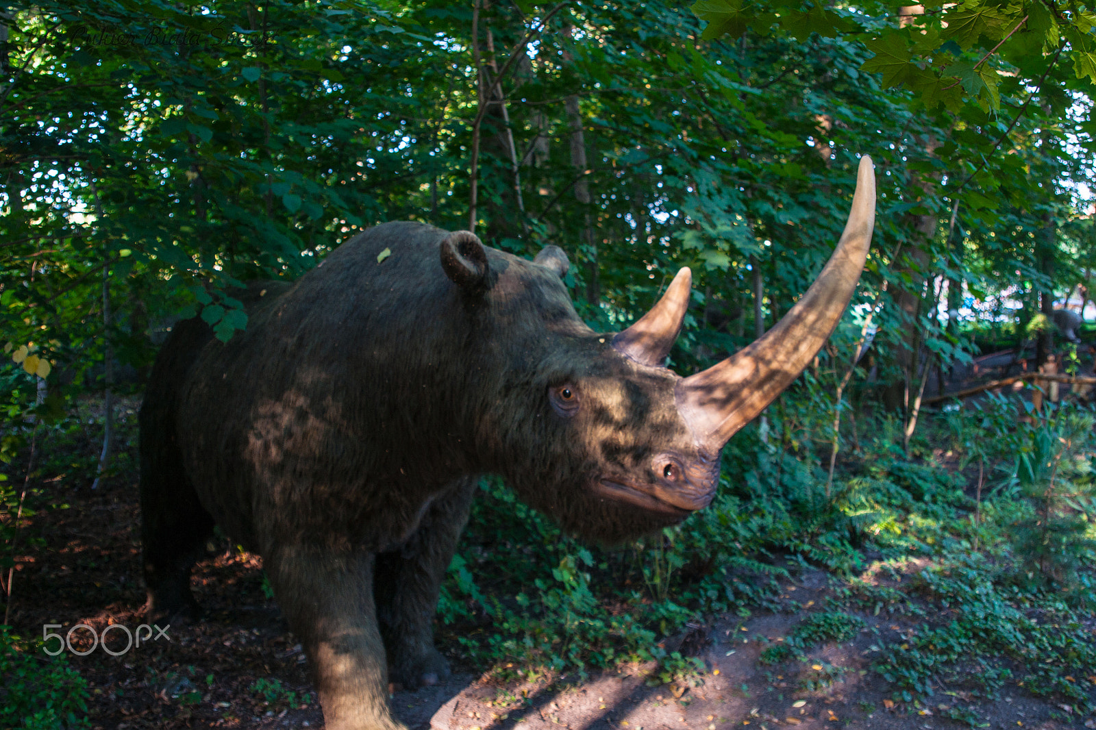 Sony Alpha DSLR-A700 + 24-70mm F2.8 sample photo. Dinosaur photography