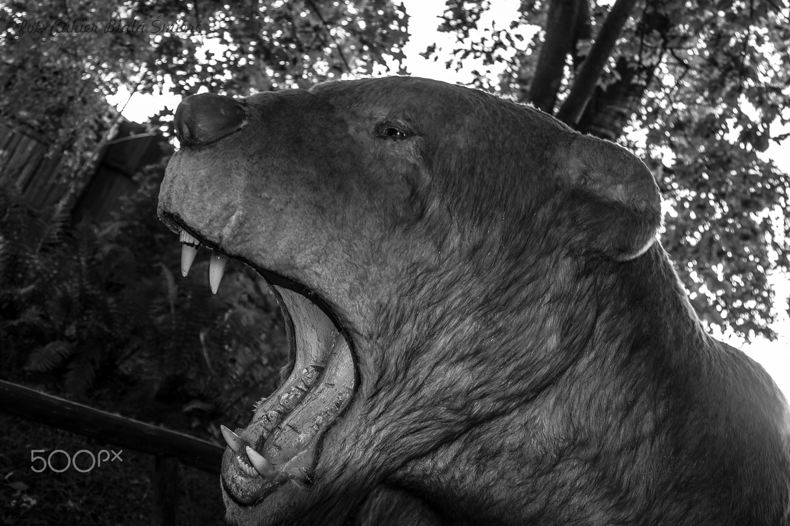 Sony Alpha DSLR-A700 + 24-70mm F2.8 sample photo. Dinosaur photography