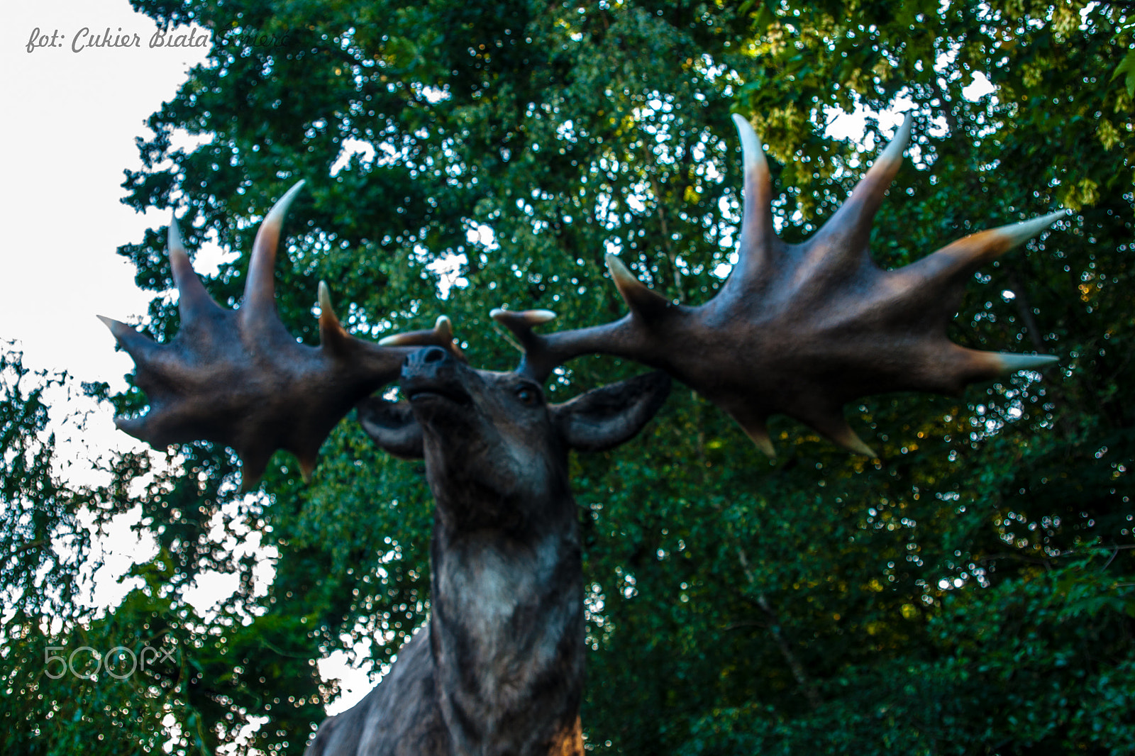 Sony Alpha DSLR-A700 + 24-70mm F2.8 sample photo. Dinosaur photography