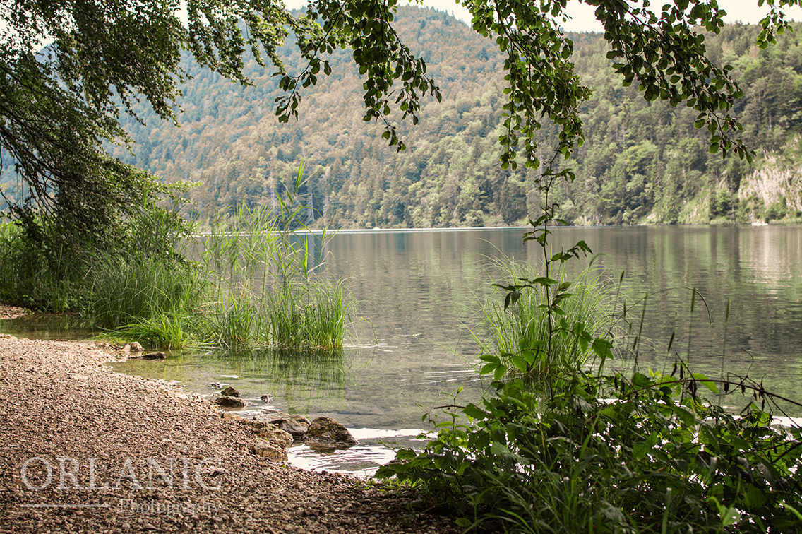 Sony Alpha DSLR-A390 + Sony DT 18-55mm F3.5-5.6 SAM sample photo. Allgäu photography