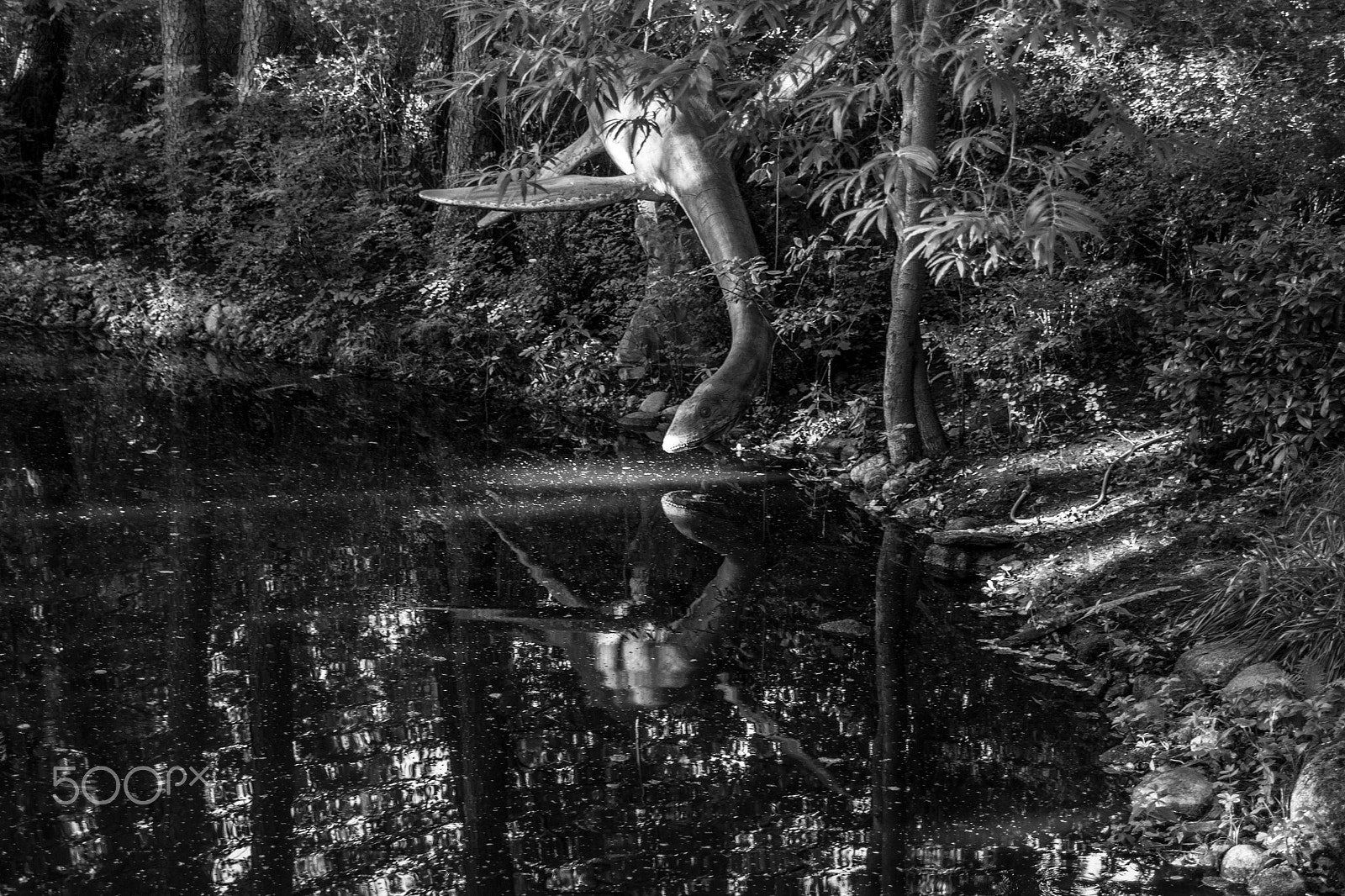 Sony Alpha DSLR-A700 + 24-70mm F2.8 sample photo. Dinosaur photography