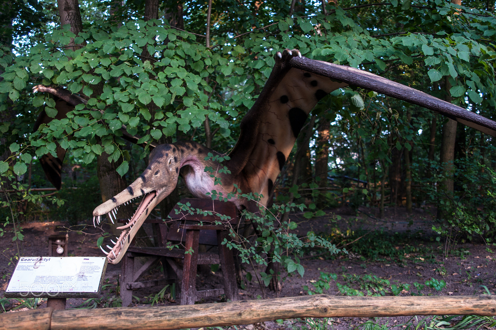 Sony Alpha DSLR-A700 + 24-70mm F2.8 sample photo. Dinosaur photography