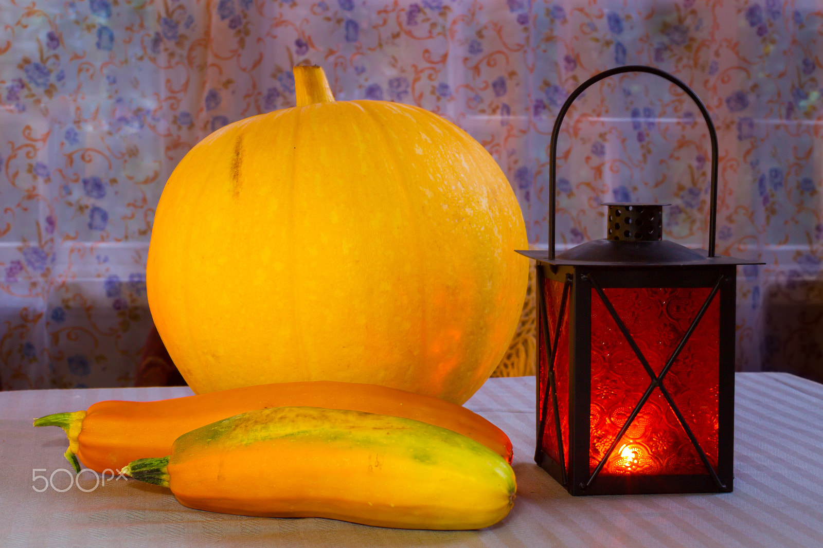 Canon EOS-1D Mark IV + Canon EF 50mm F1.2L USM sample photo. Pumpkin and zucchini on halloween in the warm light of the lante photography